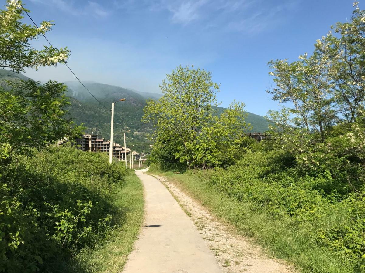 Hotel Ainar Gagry Zewnętrze zdjęcie
